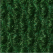 Spinach Green