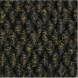 Black Walnut